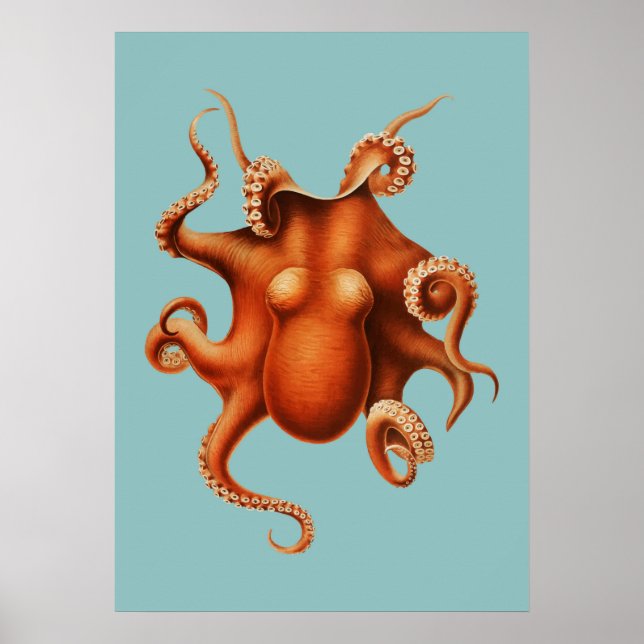 Póster Ilustracion Octopus (Frente)