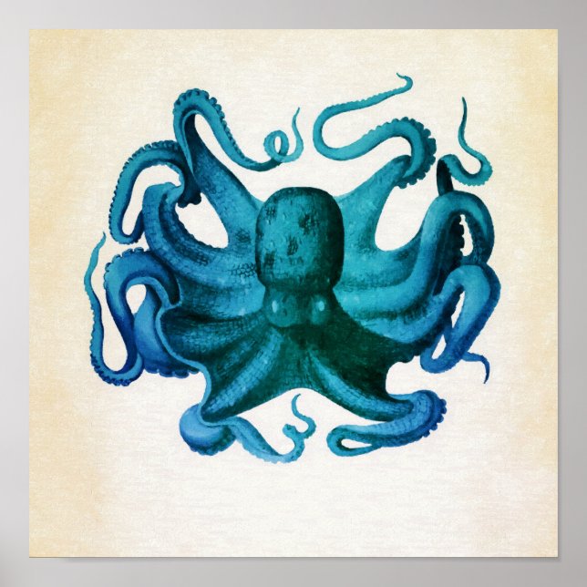 Póster Ilustracion Octopus de color agua (Frente)