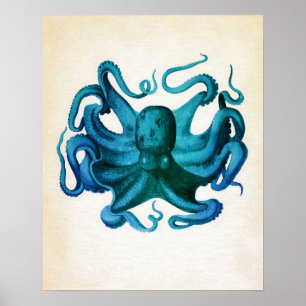 Póster Ilustracion Octopus de color agua