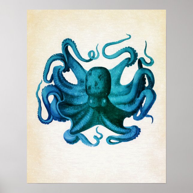 Póster Ilustracion Octopus de color agua (Frente)