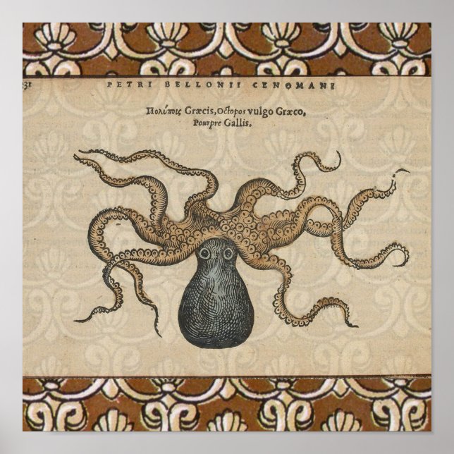 Póster Ilustracion Octopus Kraken Vintage (Frente)