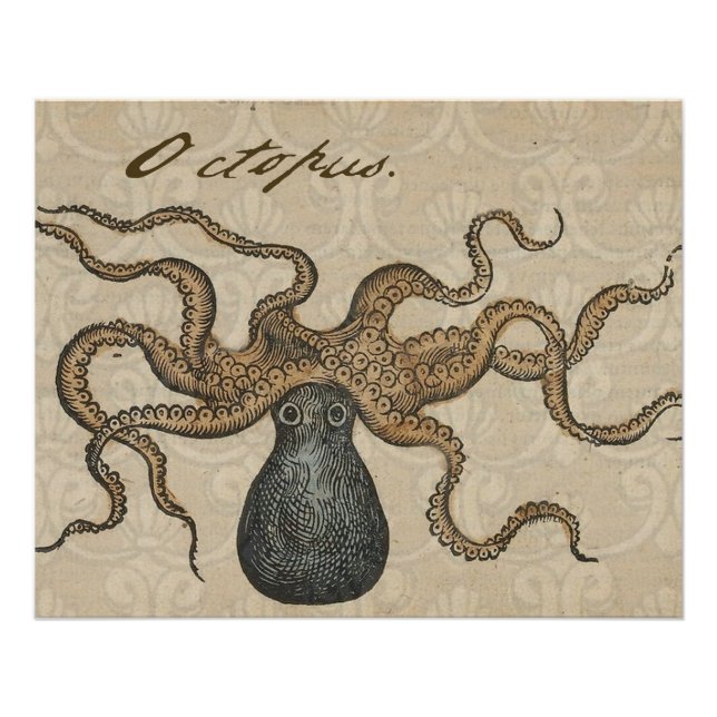 Póster Ilustracion Octopus Kraken Vintage (Anverso)