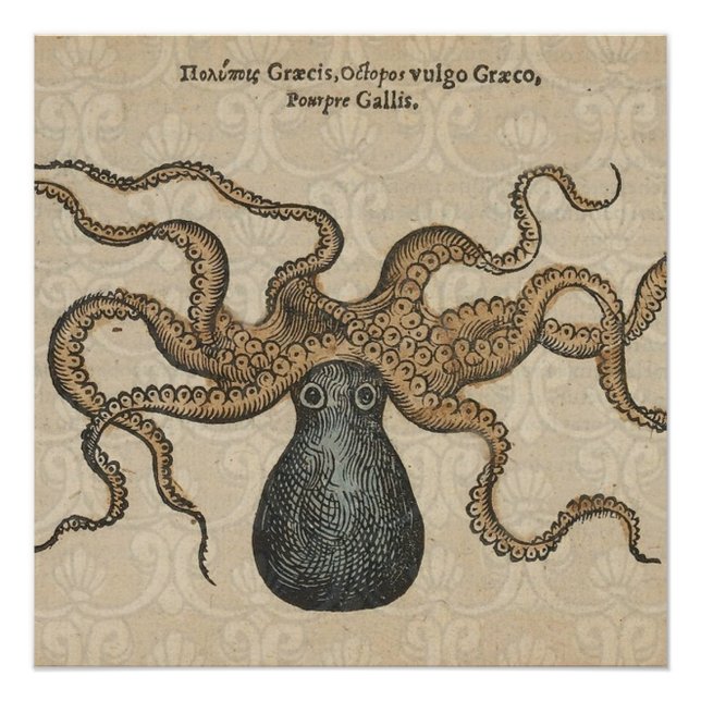Póster Ilustracion Octopus Kraken Vintage (Anverso)