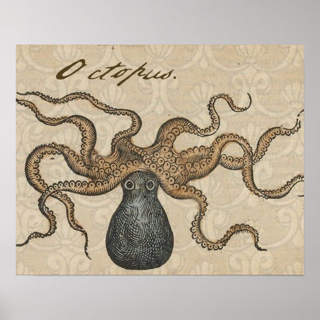 Póster Ilustracion Octopus Kraken Vintage (Frente)