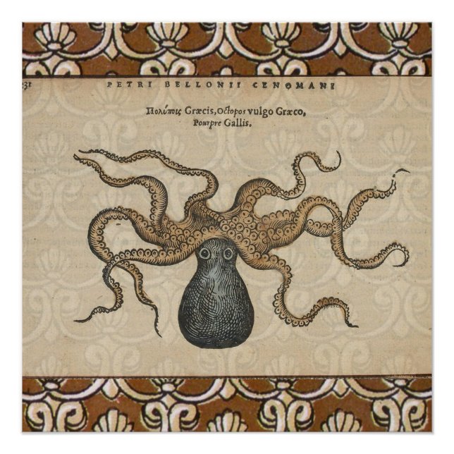 Póster Ilustracion Octopus Kraken Vintage (Anverso)