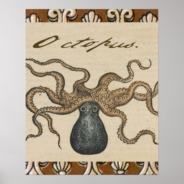 Póster Ilustracion Octopus Kraken Vintage (Frente)