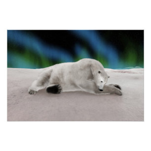 Póster Ilustración pacífica de oso polar ártico en la nat