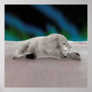 Póster Ilustración pacífica de oso polar ártico en la nat