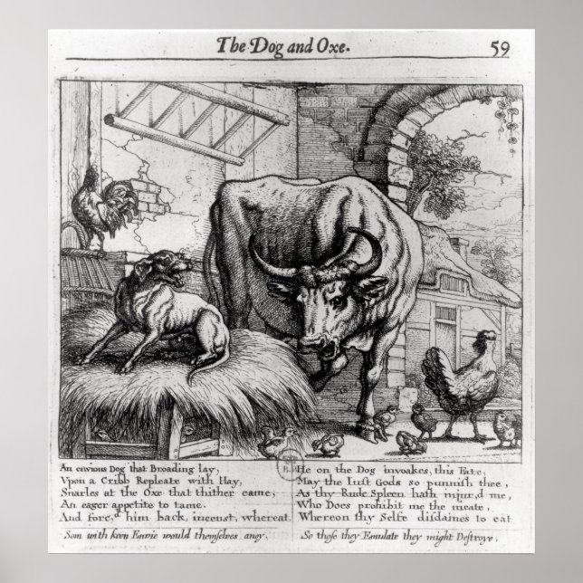 Póster Ilustracion para "El perro y el buey" (Frente)