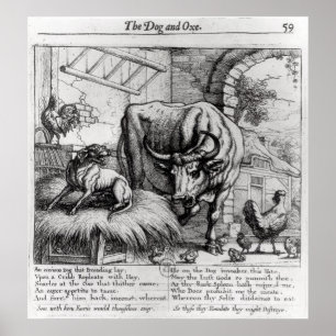 Póster Ilustracion para 'el perro y el Ox