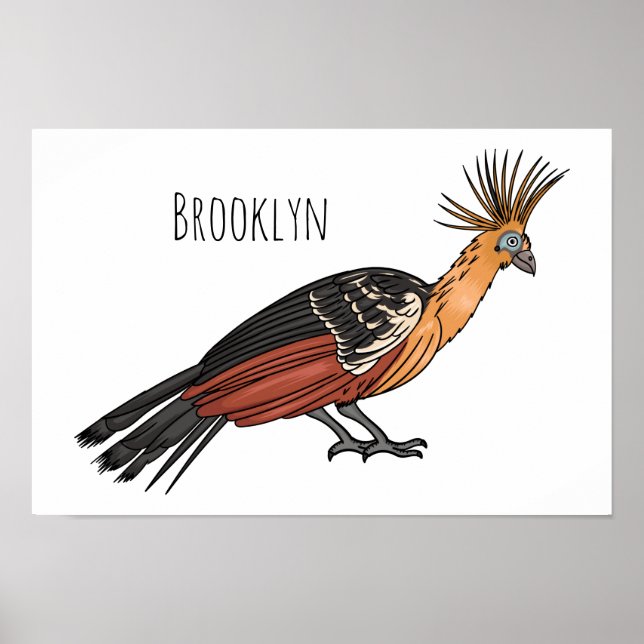 Póster Ilustracion personalizado de aves de Hoatzin (Frente)
