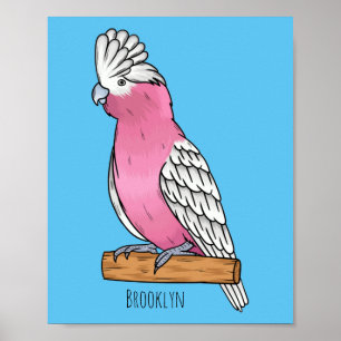 Póster Ilustracion personalizado de aves Galah