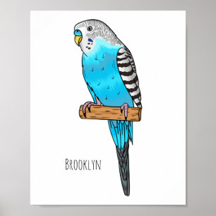 Póster Ilustracion personalizado de pájaro budgerigar azu