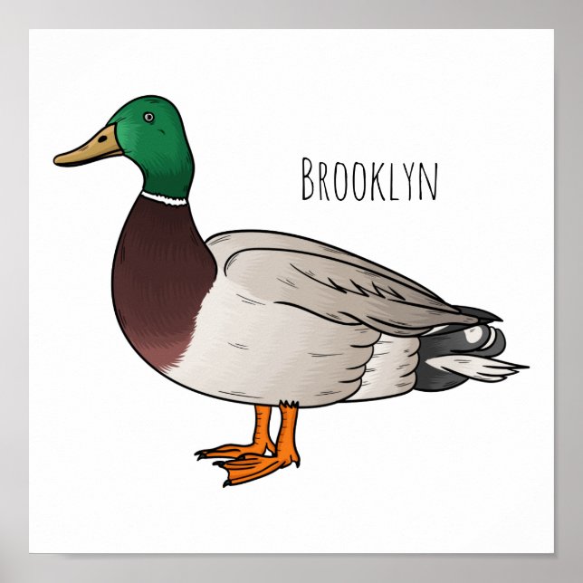 Póster Ilustracion personalizado de pato mallard (Frente)