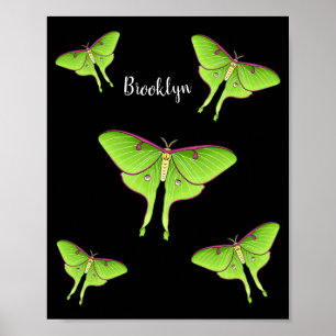 Póster Ilustracion personalizado Luna Moth