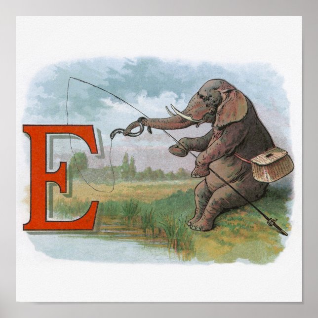 Póster Ilustracion pesquero de Elephant (Frente)