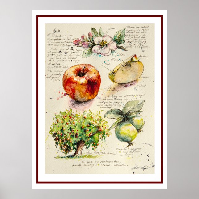 Póster ILUSTRACION Pintado EVE de Apple (Frente)