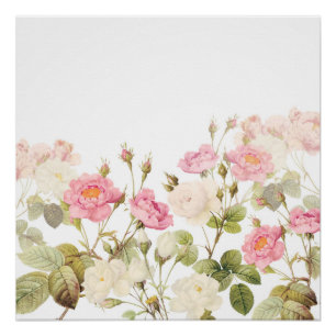 Póster Ilustracion pradera de Rosas de la época rosada de