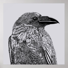 Póster Ilustracion Raven