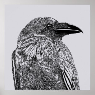 Póster Ilustracion Raven