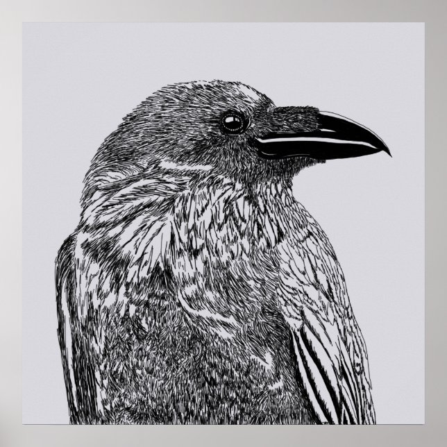 Póster Ilustracion Raven (Frente)