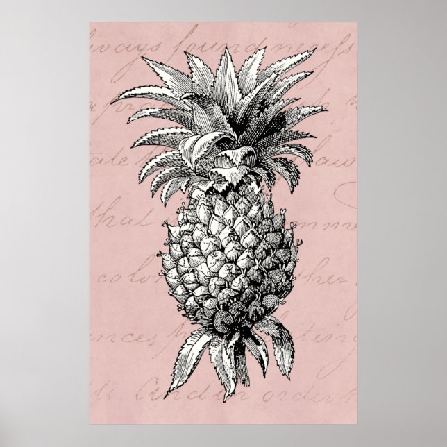 Póster Ilustracion rosa de piña de época de 1800 (Frente)
