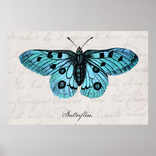Póster Ilustracion Verde azulado de mariposa azul vintage