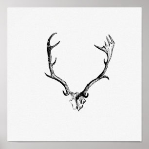 Póster Ilustracion Vintage Antlers