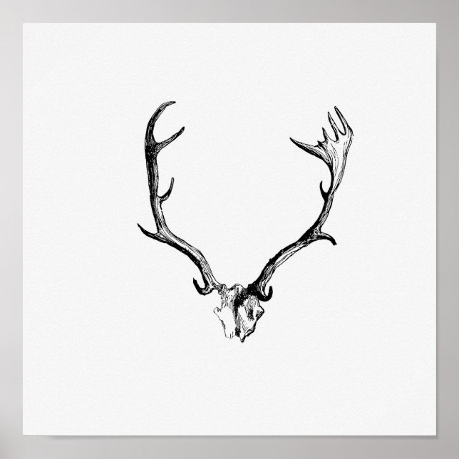 Póster Ilustracion Vintage Antlers (Frente)