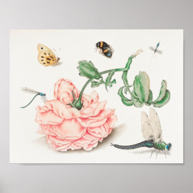 Póster Ilustracion Vintage Bee (Frente)