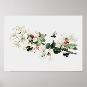 Póster Ilustracion Vintage Bee