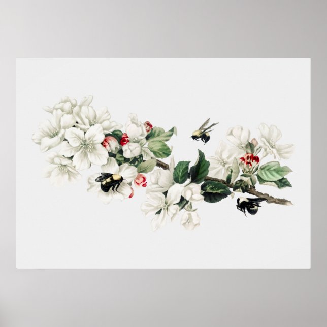 Póster Ilustracion Vintage Bee (Frente)