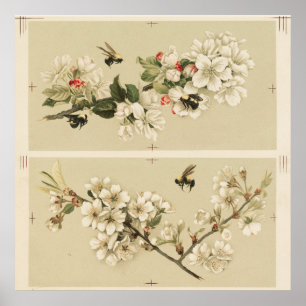 Póster Ilustracion Vintage Bee