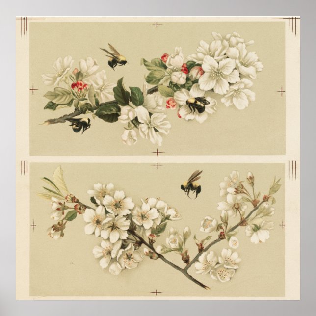 Póster Ilustracion Vintage Bee (Frente)