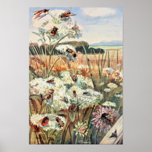 Póster Ilustracion Vintage Bee