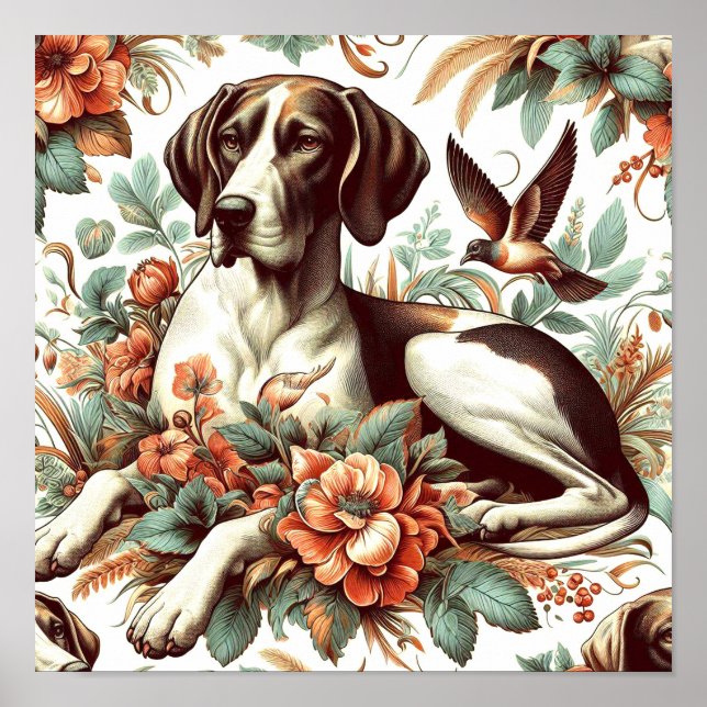 Póster Ilustracion Vintage Braque Français (Frente)