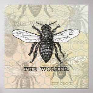 Póster Ilustración Vintage de Abeja Trabajadora