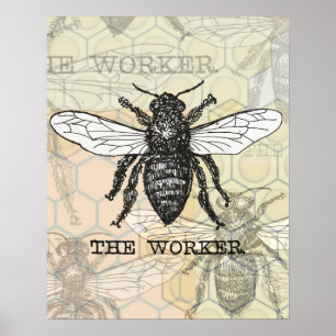 Póster Ilustración Vintage de Abeja Trabajadora