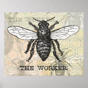 Póster Ilustración Vintage de Abeja Trabajadora
