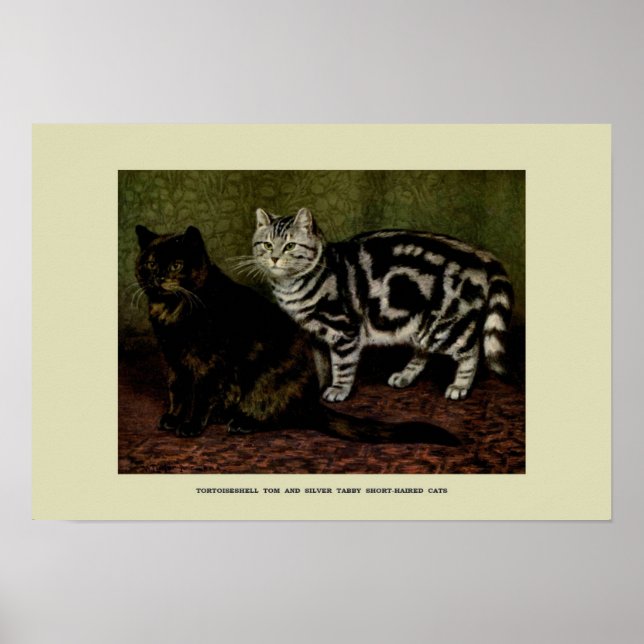 Póster Ilustracion vintage de gatos (Frente)