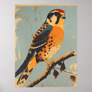 Póster Ilustracion vintage de Kestrel