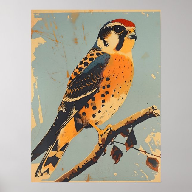 Póster Ilustracion vintage de Kestrel (Frente)