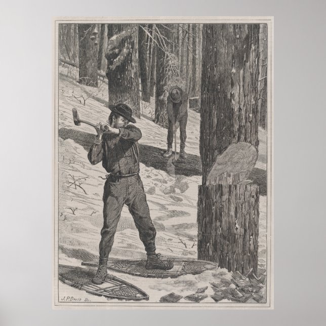 Póster Ilustracion vintage de un Lumberjack (1871) (Frente)