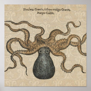Póster Ilustración Vintage del Kraken Pulpo