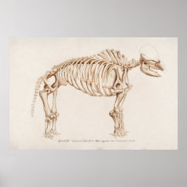 Póster Ilustracion Vintage Mamoth