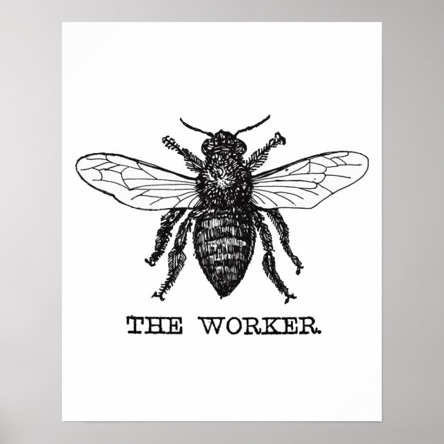 Póster Ilustracion Vintage Worker Bee (Frente)