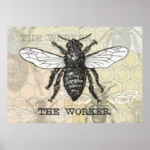 Póster Ilustracion Vintage Worker Bee