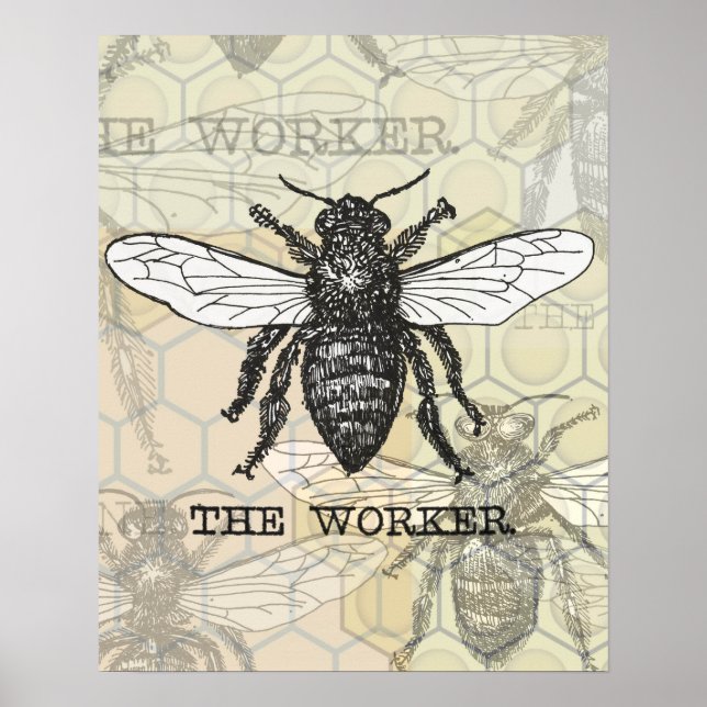 Póster Ilustracion Vintage Worker Bee (Frente)