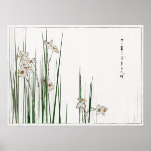 Póster Ilustracion Watanabe Seitei Jonquil de Bijutsu
