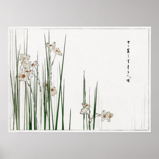 Póster Ilustracion Watanabe Seitei Jonquil de Bijutsu (Frente)